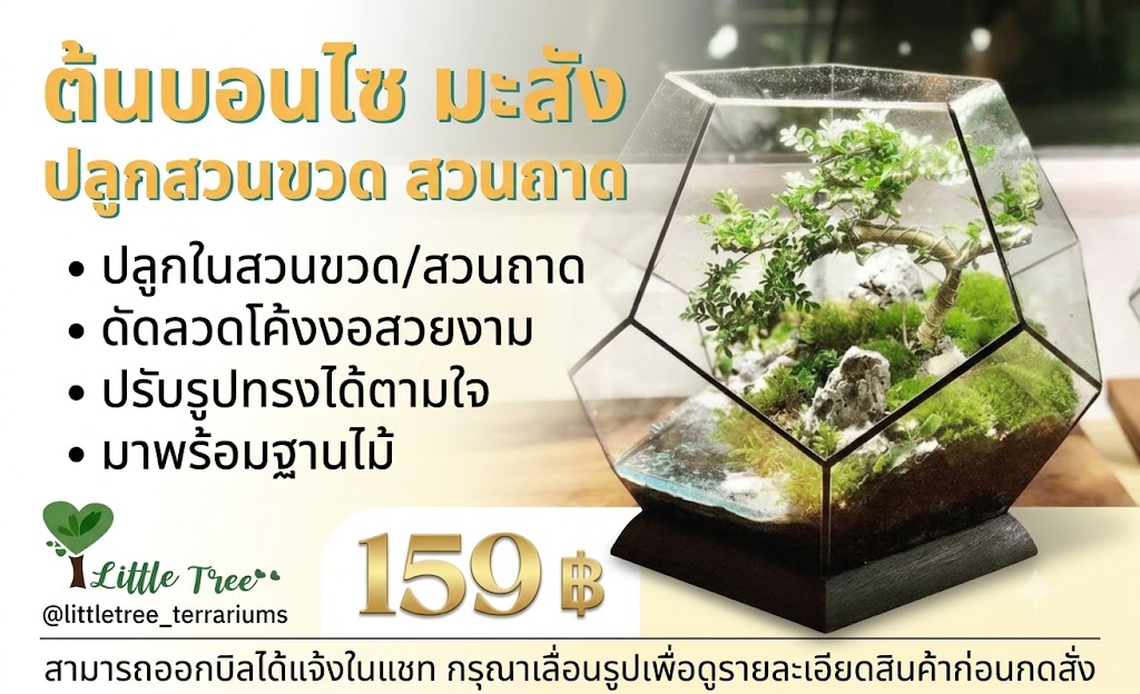 ต้นบอนไซ