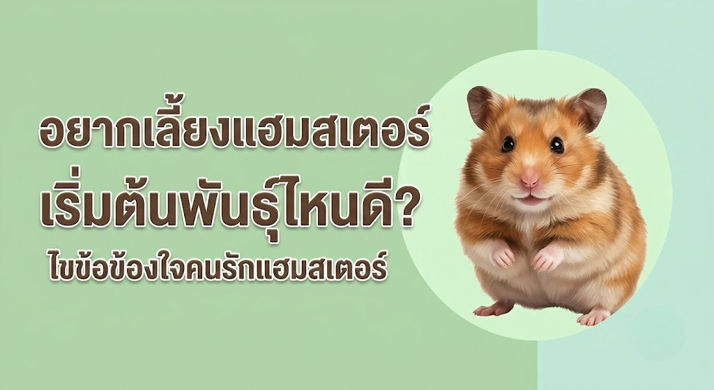 blogpic1