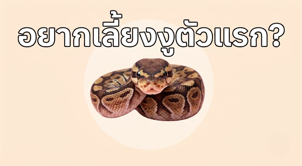 blogpic1