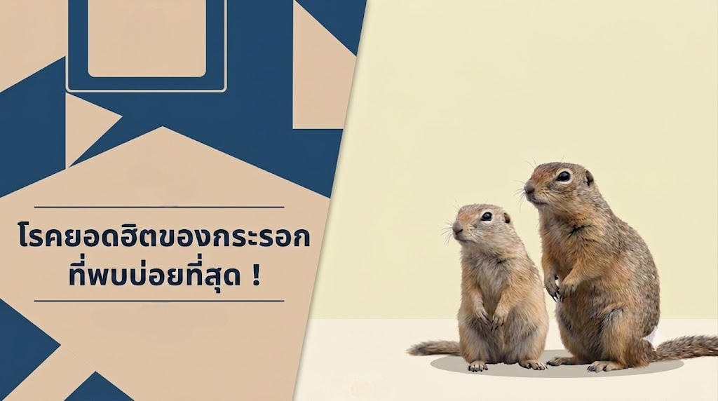 4 โรคยอดฮิตในกระรอก