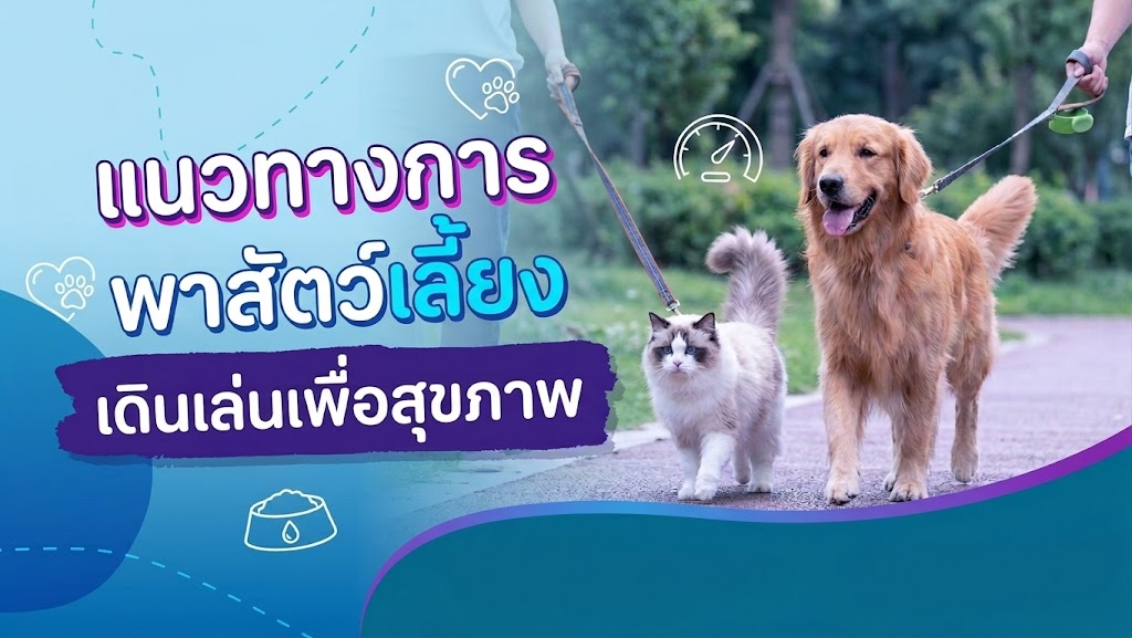 พาสัตว์เลี้ยงเดินเล่นเพื่อสุขภาพ