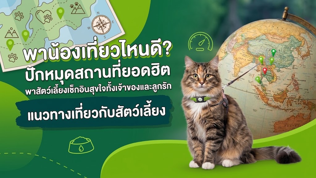 พาน้องเที่ยวไหนดี?  