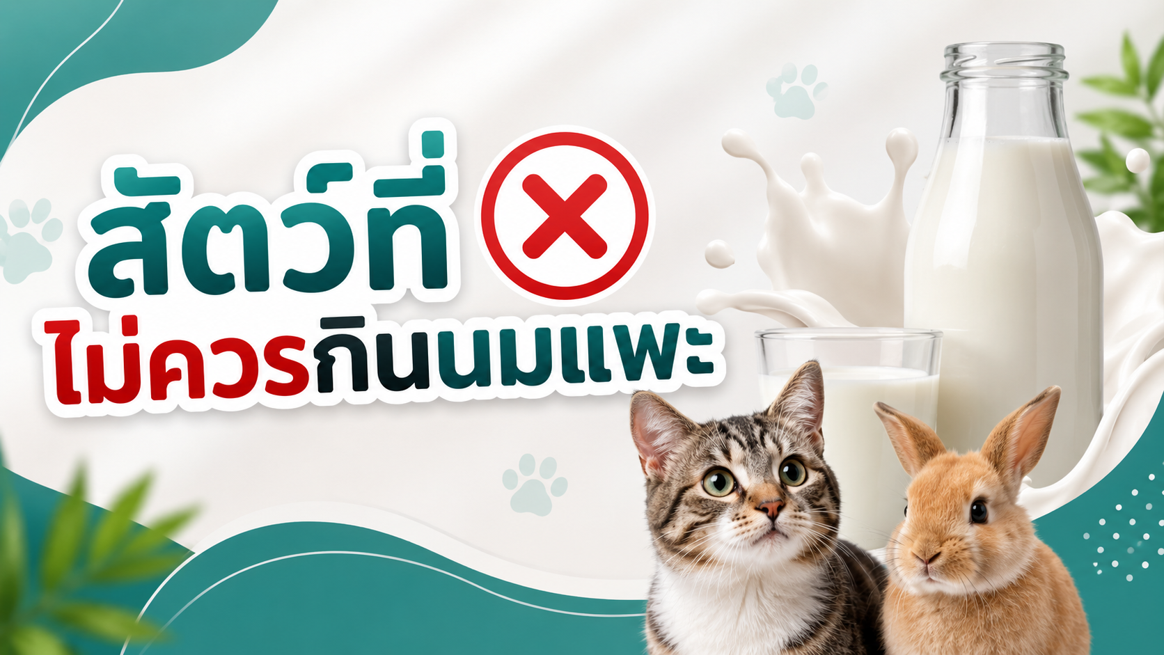 นมเเพะสัตว์อะไรที่กินได้บ้าง?