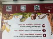 โรงพยาบาลสัตว์จูราสสิค - Jurassic Exotic & Wildlife Animal Hospi