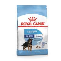 Royal Canin Puppy Maxi อาหารเม็ดลูกสุนัขพันธุ์ใหญ่