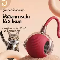 ลูกบอลกลิ้งไฟฟ้าอัตโนมัติ ลูกบอลแมว ของเล่นแมวโต้ตอบ ของเล่นสําหรับแมว ลูกบอลอัตโนมัติ พร้อมสายชาร์จ