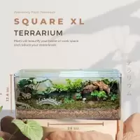 พร้อมส่ง สวนขวดมินิมอล ทรงกล่องอะคลิลิคใส Terrarium (ไม่รวมโคมไฟ) ของขวัญ