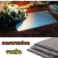 จานหิน ลดการเกิดจงอยปาก และเล็บยาวผิดรูป ถาดอาหารเต่าบก พร้อมส่งอยู่ไทย stone plate