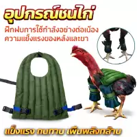 ฝึกไก่ชน กระสอบทรายฝึกชนไก่ กระสอบทรายขา กระสอบทรายหลังไก่ชน อุปกรณ์ไก่ชน ออกกำลังกายไก่ สำหรับชนไก่