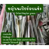 หญ้าเนเปียร์ สับ อบแห้ง ออแกร์นิค สำหรับกระต่าย เต่า หนูแกสบี้ (สั้น/ยาว)ใส่รางหญ้า