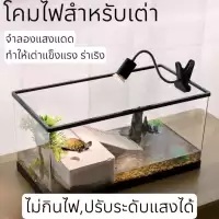 โคมไฟเต่าUVA/UVB3.0 ไฟสัตว์เลื้อยคลาน ไฟเต่าญี่ปุ่นเต่าบก ให้ความร้อน