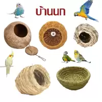 บ้านนก รังนกทำจากหญ้า บ้านหญ้านก บ้านกะลา บ้านนกแก้ว บ้านกระรอก กะลาธรรมชาติ รังนอน ทำจากหญ้าธรรมชาติ