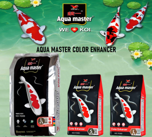 Aqua Master Color Enhance S - อาหารปลาสูตรเร่งสี เม็ดเล็ก (1 kg)