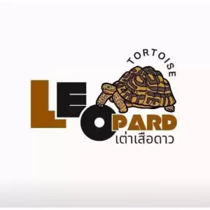 เจน เต่า ต้า เต่า ไม เต่า ซิน เต่า เต่าบก สัตว์ทุกชนิด