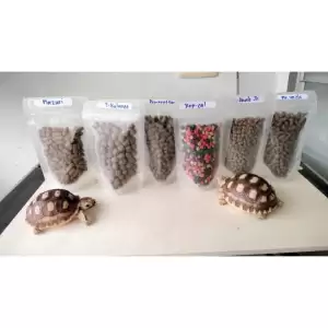 มีของแถมทุกออเดอร์
