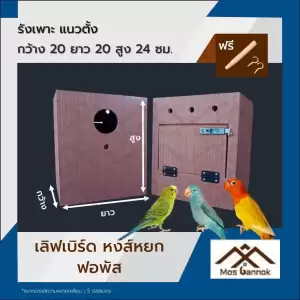 รังเพาะนก เลิฟเบิร์ดแนวตั้ง พร้อมส่ง! รังเพาะนกแก้ว บ้านนก กล่องเพาะนก รังนอนนก กล่องไข่นก ลังเพาะนก