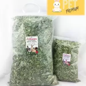 ถั่วพินตอย 150 g หญ้าถั่ว หญ้ากระต่าย แกสบี้ แฮมเสตอร์ เฟอเรท ชินชิล่า แพรี่ด๊อก สัตว์ฟันแทะ เต่าบก
