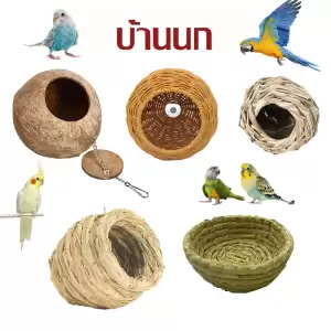 บ้านนก รังนกทำจากหญ้า บ้านหญ้านก บ้านกะลา บ้านนกแก้ว บ้านกระรอก กะลาธรรมชาติ รังนอน ทำจากหญ้าธรรมชาติ