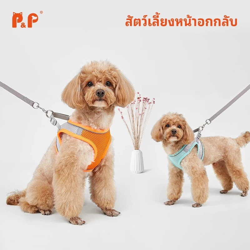 เสื้อรัดอกสุนัข เสื้อรัดอกแมว สายรัดอก สัตว์เลี้ยง พร้อมสายจูง สะท้อนแสง สวมใส่ง่าย มีหลายสี พร้อมส่ง