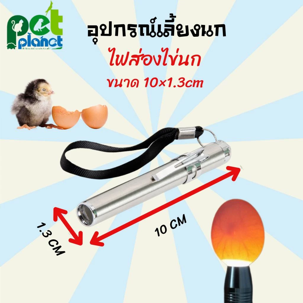 อุปกรณ์เลี้ยงนก ไฟส่องไข่นก ไฟนก ไฟฉายส่องไข่นก อุปกรณ์สำหรับ นก นกแก้ว นกหงส์หยก ไก่ ไฟส่องไข่ ฟักไข่