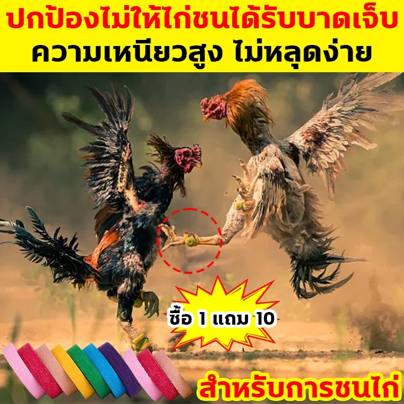 ปกป้องไก่ชน ป้องกันการบาดเจ็บ เทปไก่ชน ซื้อ1แถม10 ความเหนียวสูง ไม่หลุดง่าย เทปพันตอไก่ เทปพันไก่ชน ที่พันตอไก่