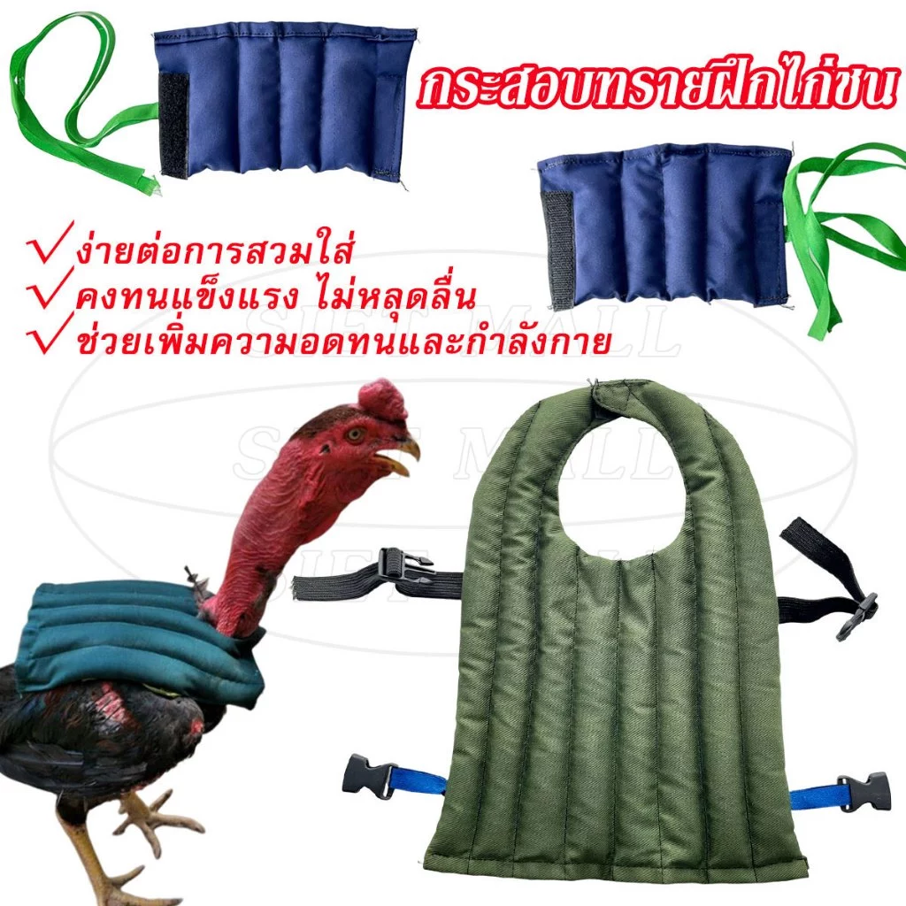 ต่อไก่ ไก่ชน การชนไก่ กระสอบทรายเท้าและหลังสำหรับฝึกสัตว์ชนิดไก่ กระสอบทรายฝึกไก่ชน การฝึกขาไก่ชน กระสอบทรายการฝึกหลัง