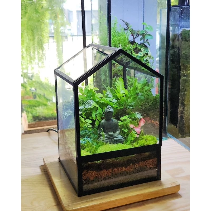 พร้อมส่ง สวนขวดต้นไม้ ทรงบ้านมินิมอล Geometric glass house terrarium ของขวัญ ของแต่งบ้าน
