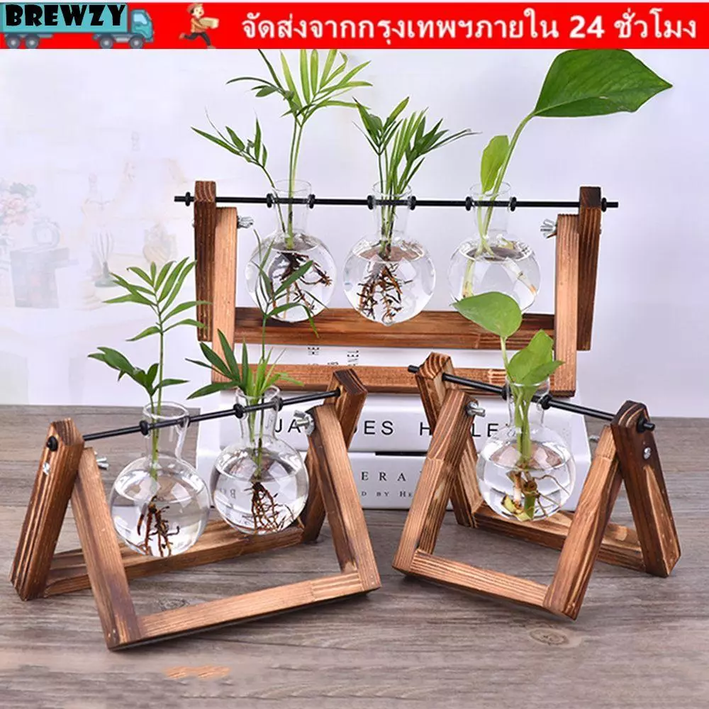 BREWZY Hydroponic แจกันพืชตกแต่งบอนไซ Terrarium โต๊ะดอกไม้หม้อ