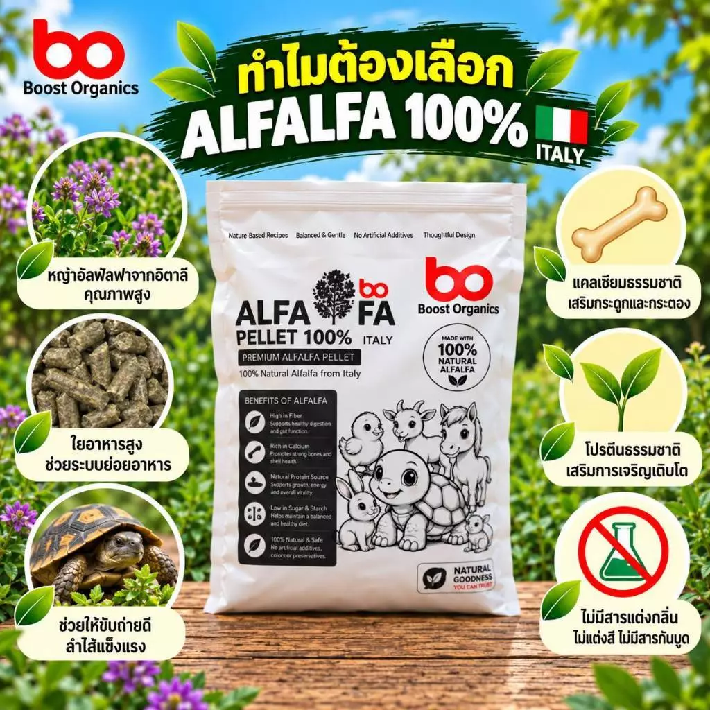 เกรดพรีเมี่ยม]อัลฟาฟ่าอัดเม็ด100% จากอิตาลี่ เหมาะกับเต่าบกและสัตว์กินพืช สัตว์ฟันแทะ Alfalfa Pellet