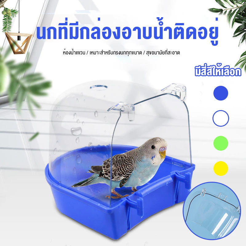 ห้องอาบน้ำนก อุปกรณ์ให้น้ำนก ขวดน้ำนก กล่องอาบน้ำนก อุปกรณ์เลี้ยงนก อุปกรณ์สำหรับ นกแก้ว นกหงส์หยก นกเลิฟเบิร์ด
