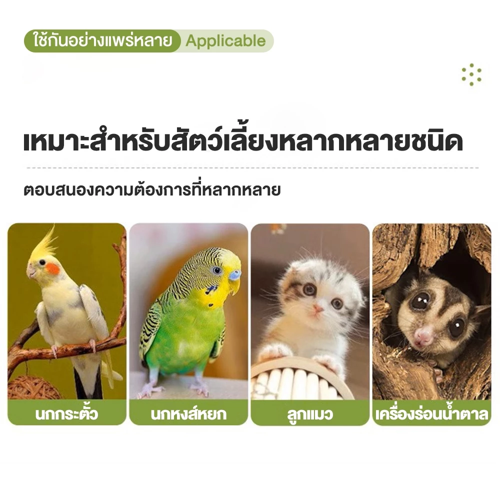 Pawblic  ภาพที่ 5