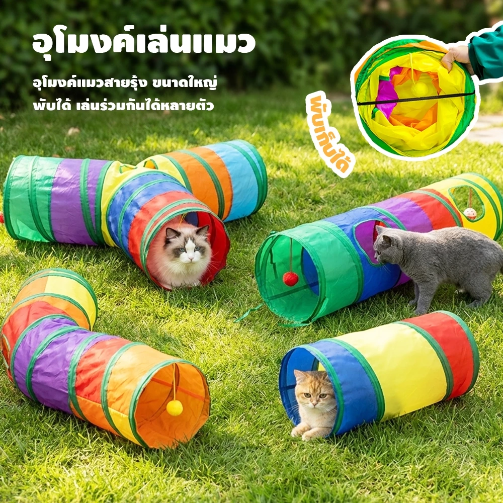  ภาพที่ 2