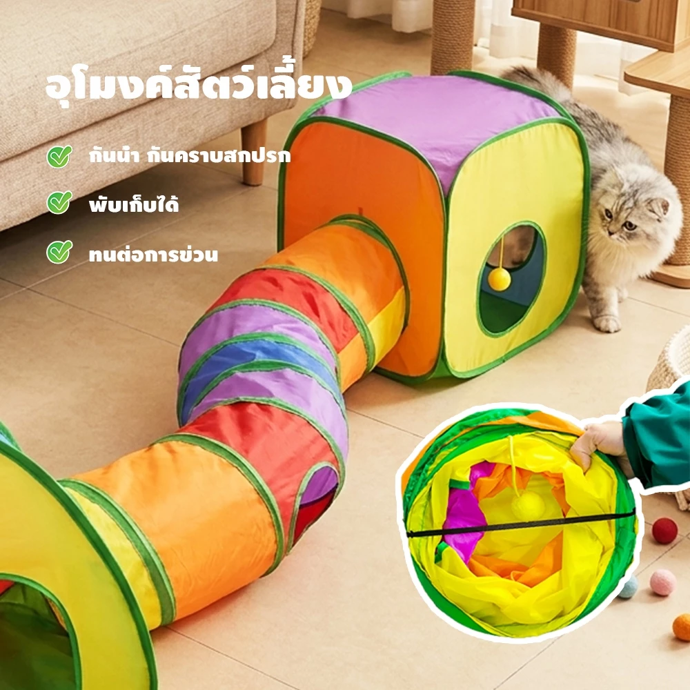  ภาพที่ 3