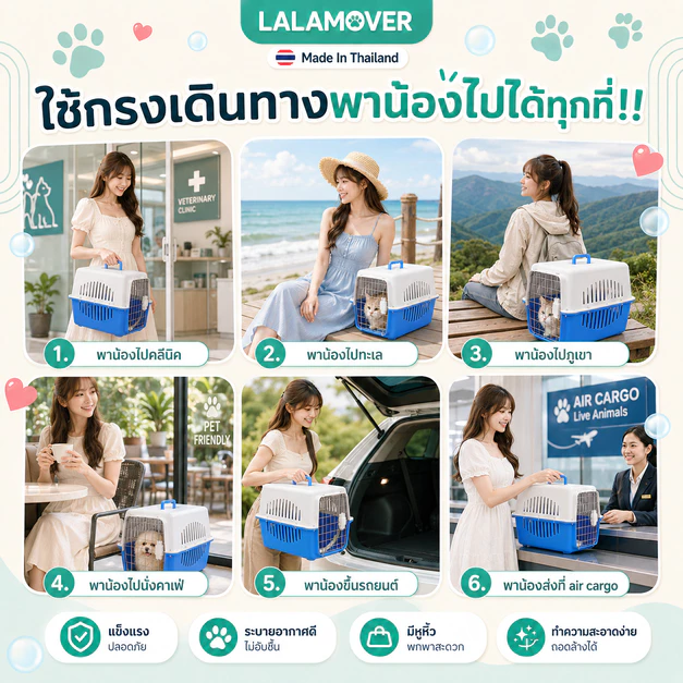 Lalamover กล่องเดินทางสัตว์เลี้ยง กรงหิ้วสัตว์เลี้ยง ผลิตในประเทศไทย รับประกันสินค้า มีแผ่นปูพื้น ภาพที่ 3
