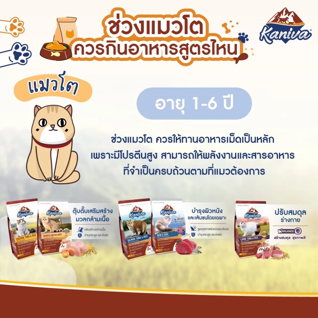 คานิว่า อาหารแมว kaniva cat food โซเดี่ยมต่ำและไม่เค็ม ถูกใจคน รู้ใจแมว ขนาด 1.3-1.5 kg MaydayGadget ภาพที่ 5
