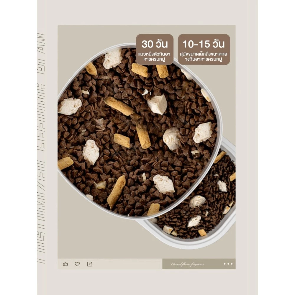เครื่องให้อาหารสัตว์เลี้ยงอัตโนมัติ รองรับ เครื่องให้อาหาร เครื่องให้อาหารแมวอัตโนมัติ สําหรับสัตว์เลี้ยง ภาพที่ 5