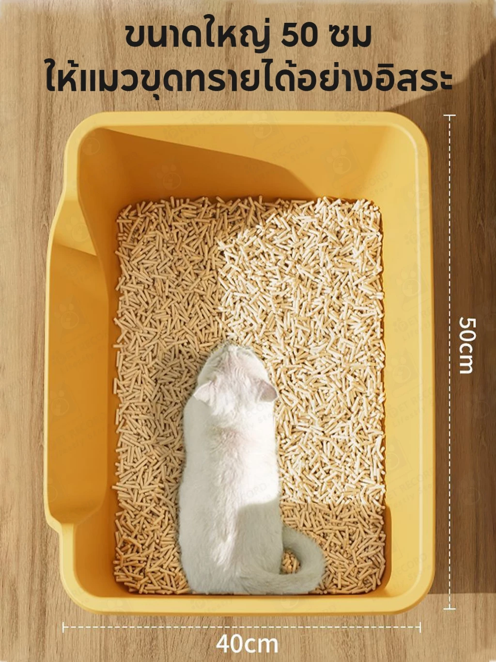 【PET RECORD】กระบะทรายแมวขนาดใหญ่ ขอบสูง ป้องกันทรายกระเด็น ห้องน้ำแมวฝาปิดถอดล้างง่าย แข็งแรง ทนทาน ภาพที่ 3