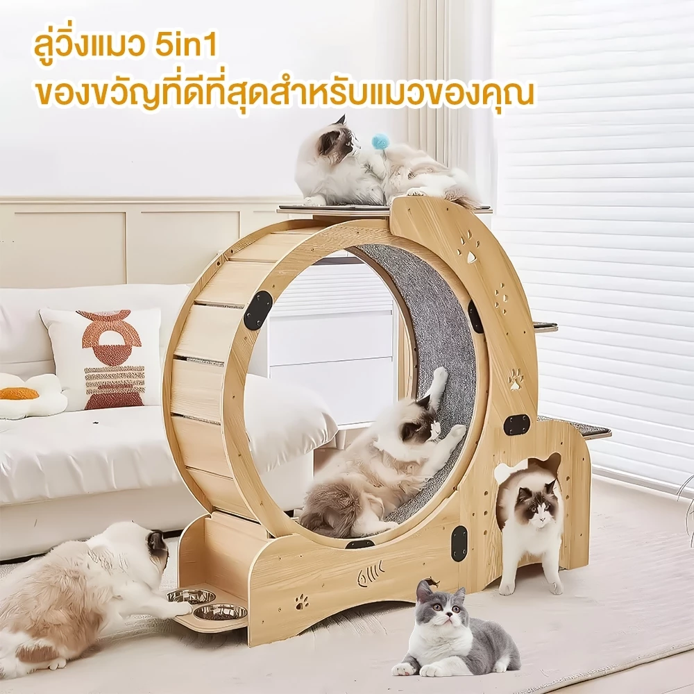 ลู่วิ่งสำหรับแมว ลู่วิ่งไม้สำหรับสัตว์เลี้ยง ลู่วิ่งสำหรับสัตว์เลี้ยง พร้อมที่นอนแมว ปีนป่ายได้ ภาพที่ 3