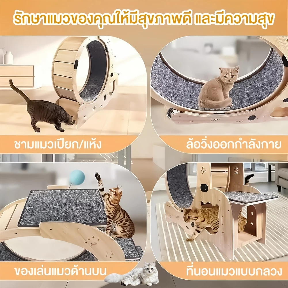 ลู่วิ่งสำหรับแมว ลู่วิ่งไม้สำหรับสัตว์เลี้ยง ลู่วิ่งสำหรับสัตว์เลี้ยง พร้อมที่นอนแมว ปีนป่ายได้ ภาพที่ 4