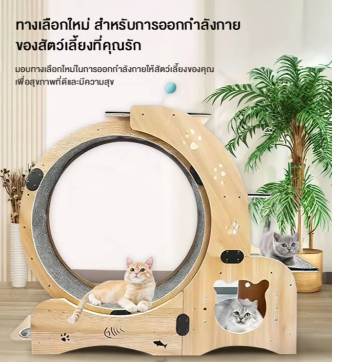 L&Q ลู่วิ่งแมว Cat toy วิ่งแมวไม้ วิ่งแมวอเนกประสงค์ ออกกำลังกายแมว ออกกำลังกาย เหมาะสำหรับแมวหลายตัว 5in1 ของเล่นแมว ภาพที่ 4