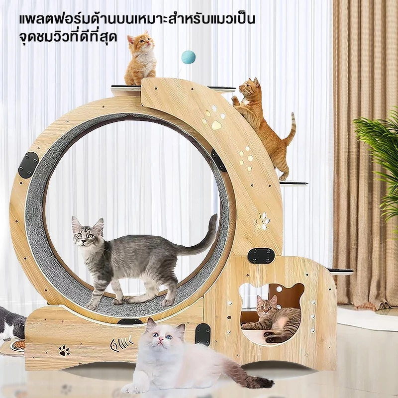 L&Q ลู่วิ่งแมว Cat toy วิ่งแมวไม้ วิ่งแมวอเนกประสงค์ ออกกำลังกายแมว ออกกำลังกาย เหมาะสำหรับแมวหลายตัว 5in1 ของเล่นแมว ภาพที่ 5