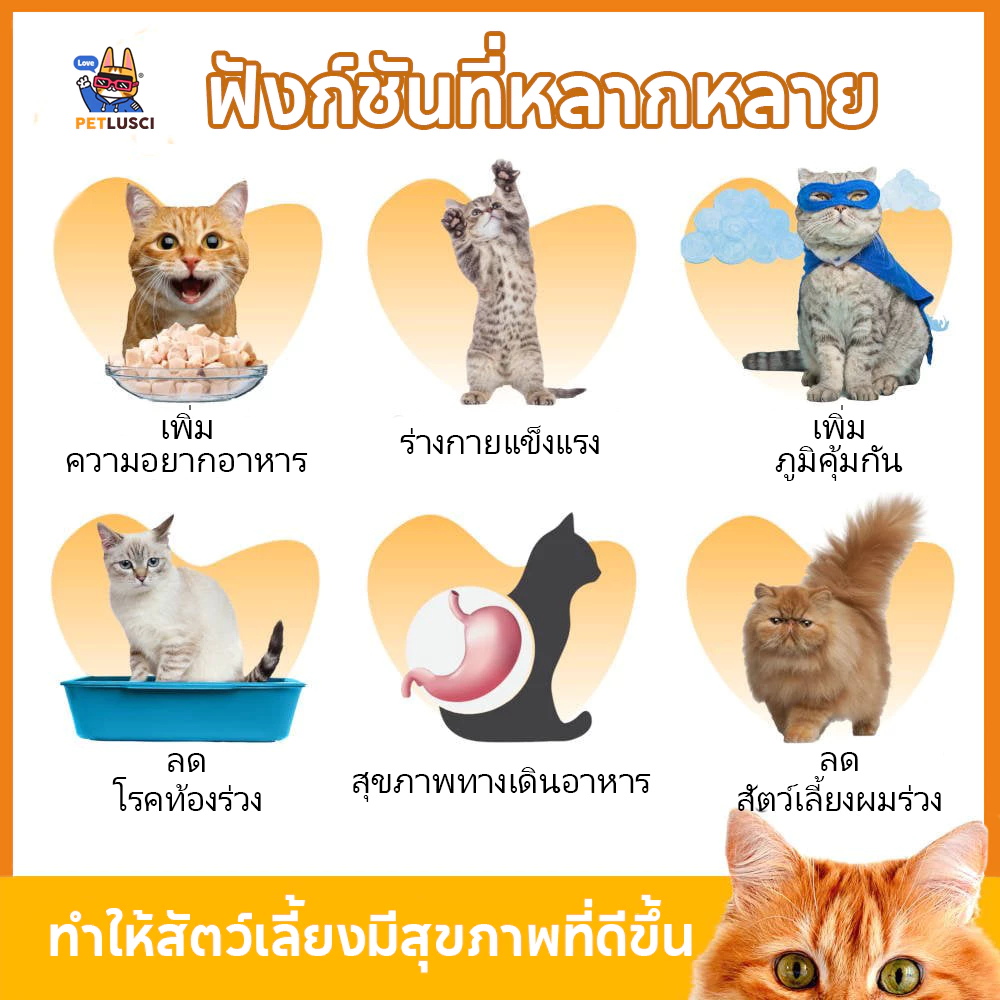 PETLUSCI ภาพที่ 2