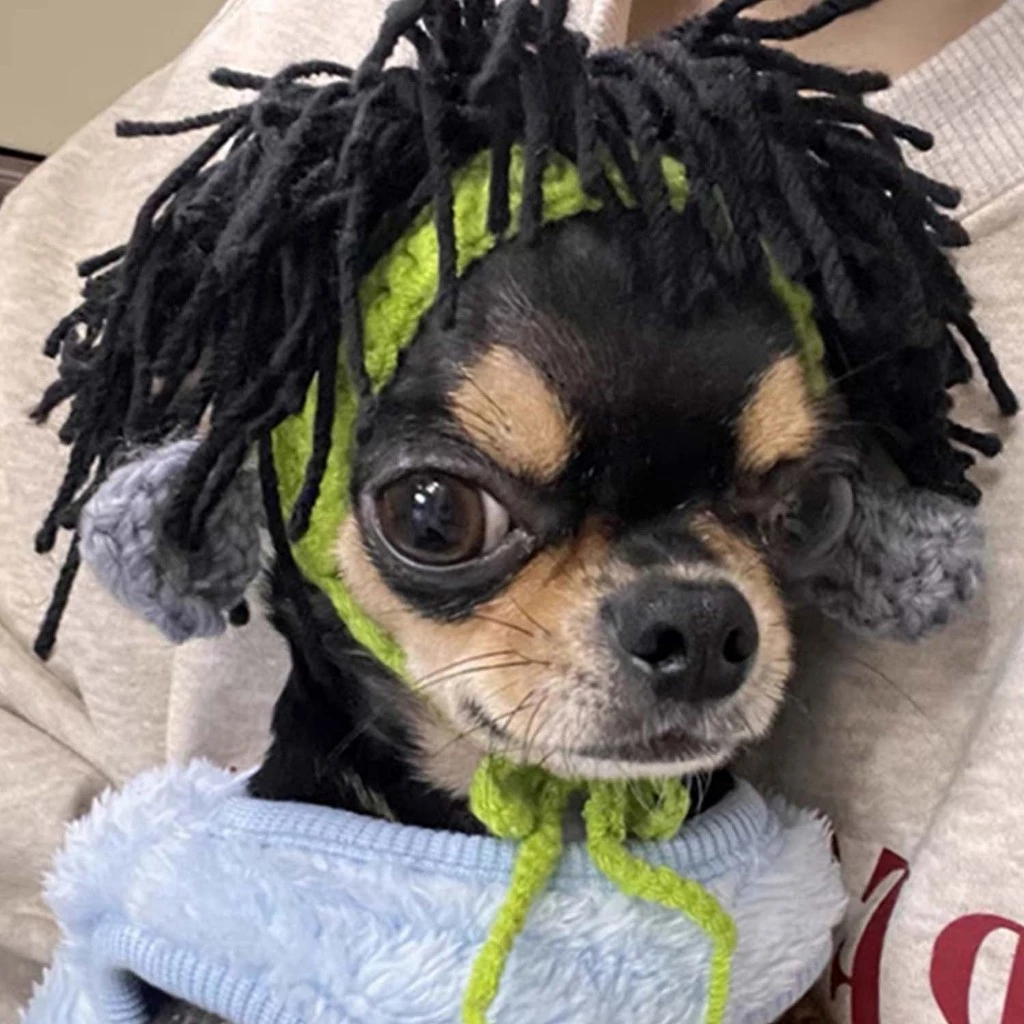 yoyopet : Headband หมวกถักไหมพรม ที่คาดผมสัตว์เลี้ยง หมวกเรกเก้ สำหรับแมวสายเขียว หมวกแฟชั่น ภาพที่ 3