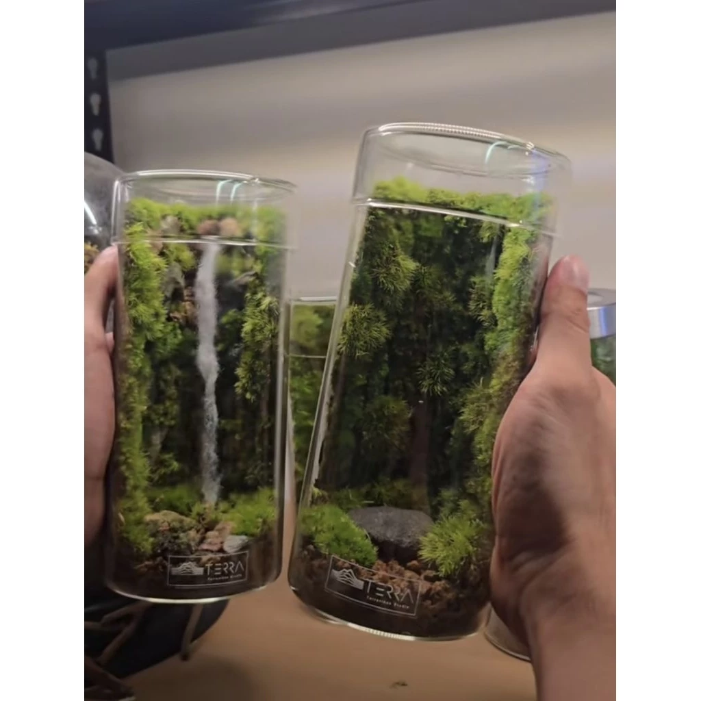 สวนขวดแก้วสำเร็จ​รูป​ จำลองระบบนิเวศ​น้ำตก​ สวนชื้น​ Terrarium​  ภาพที่ 5