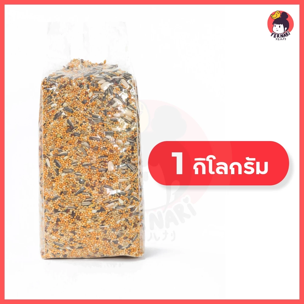 ธัญพืชรวม 13 ชนิด อาหารนกแก้ว อาหารนกธัญพืช ปริมาณ 500 gอาหารนก อาหารนกและอาหารเสริม นกแก้ว สัตว์ ภาพที่ 3