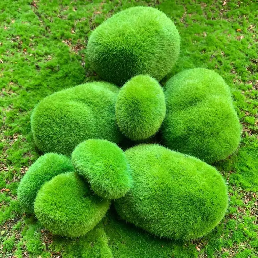 OPENMALL หินมอสประดิษฐ์ Rock Decor ปลอม Mossy Rock สําหรับ Terrarium Fairy Garden Micro ภูมิทัศน์บอนไซตกแต่งตู้ปลา U3V3 ภาพที่ 5