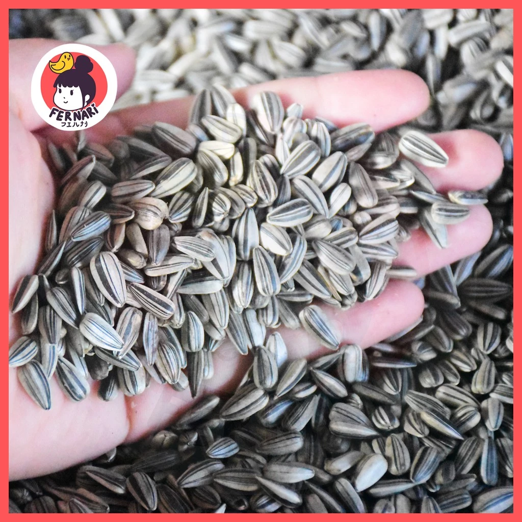 ทานตะวันขาวลาย อาหารนกแก้ว อาหารนกธัญพืช ปริมาณ 500 gอาหารนก อาหารนกและอาหารเสริม นกแก้ว สัตว์ เพาะต้นอ่อนทานตะวัน ภาพที่ 5
