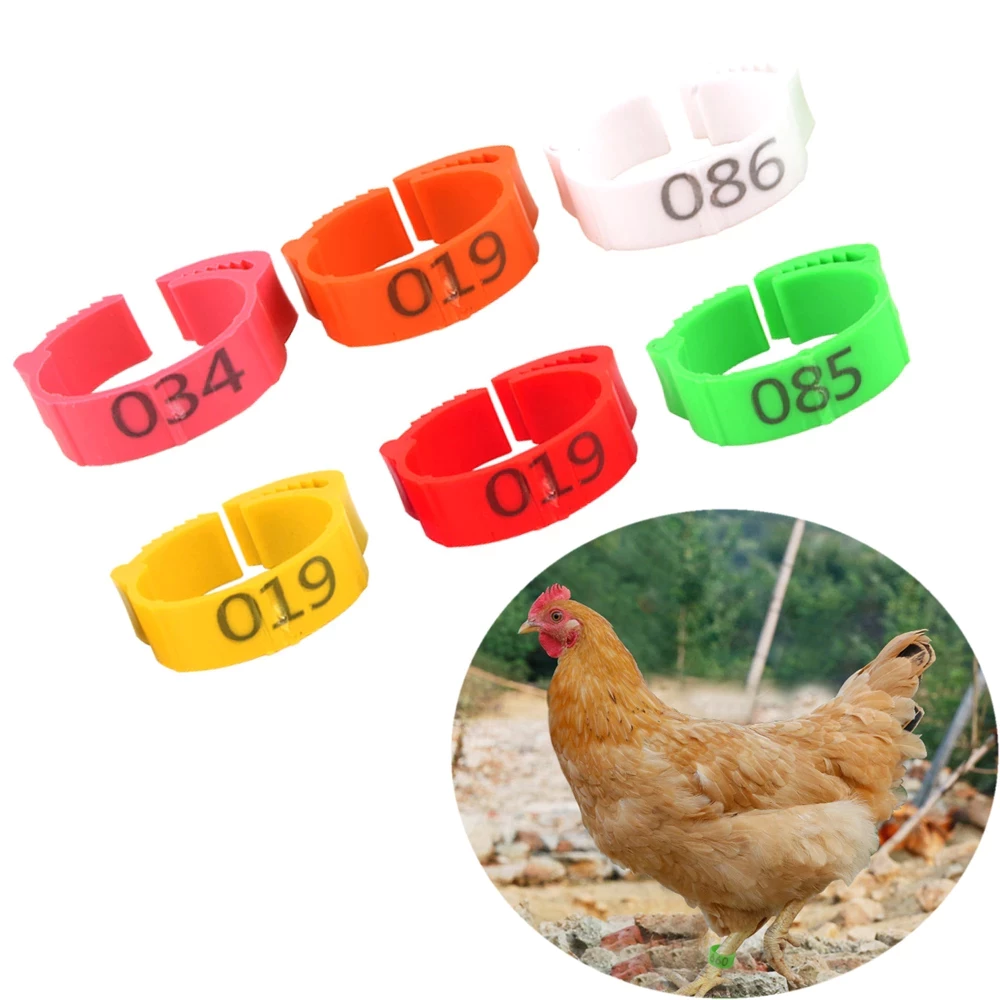 ห่วงขาไก่ ห่วงขาไก่ชน ปลอกขาไก่ชน ห่วงใส่ขาไก่ ปรับขนาดห่วงได้ อุปกรณ์ไก่ชน 5 สี ภาพที่ 4