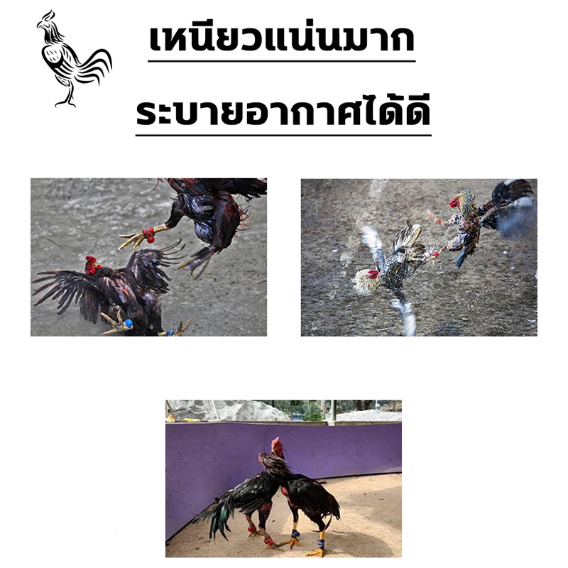 ปกป้องไก่ชน ป้องกันการบาดเจ็บ เทปไก่ชน ซื้อ1แถม10 ความเหนียวสูง ไม่หลุดง่าย เทปพันตอไก่ เทปพันไก่ชน ที่พันตอไก่ ภาพที่ 2