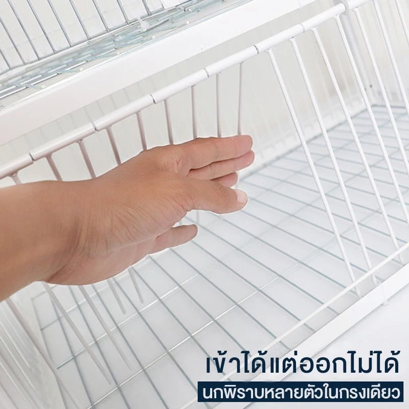 กรงดักนกขนาดใหญ่ เพนียดดักนก 70cm*40cm*26cm กรงกับดักนกพิราบ กรกดักนกเขา กรงนกพิราบ ที่ดักนก กรงต่อนก กรงนกทางเดียว ภาพที่ 4